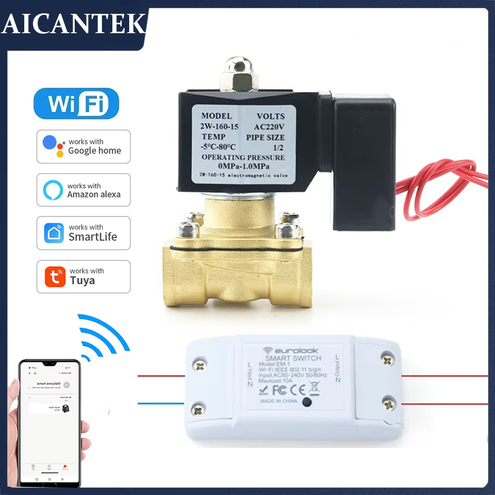 AC220V Tuya WiFi Smart Solenoi - Smart Garden Instructions incelemesi ve fiyatı