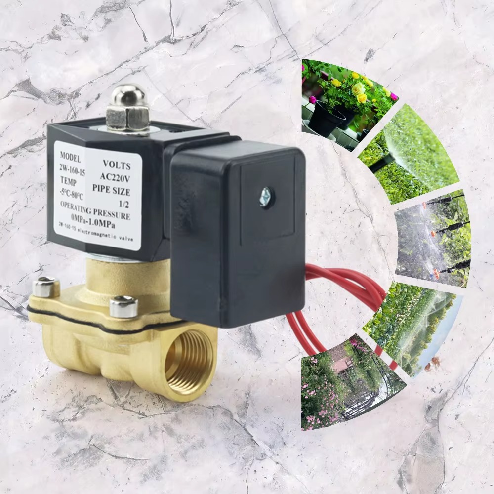 AC220V Tuya WiFi Smart Solenoi - Smart Garden Instructions incelemesi ve fiyatı