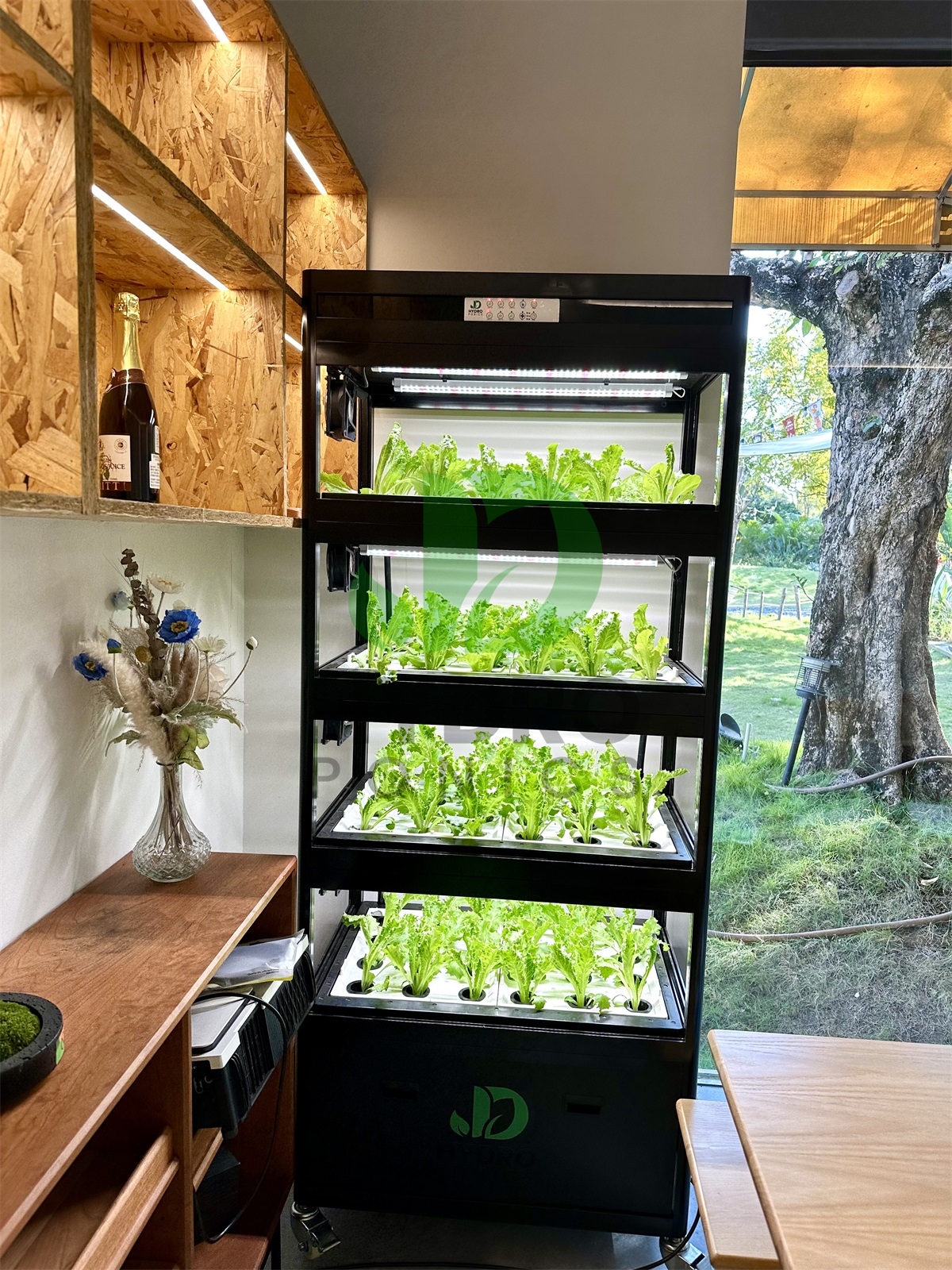 Indoor Home Smart Led Aquaponi - Aquaponics Home Kit incelemesi ve fiyatı