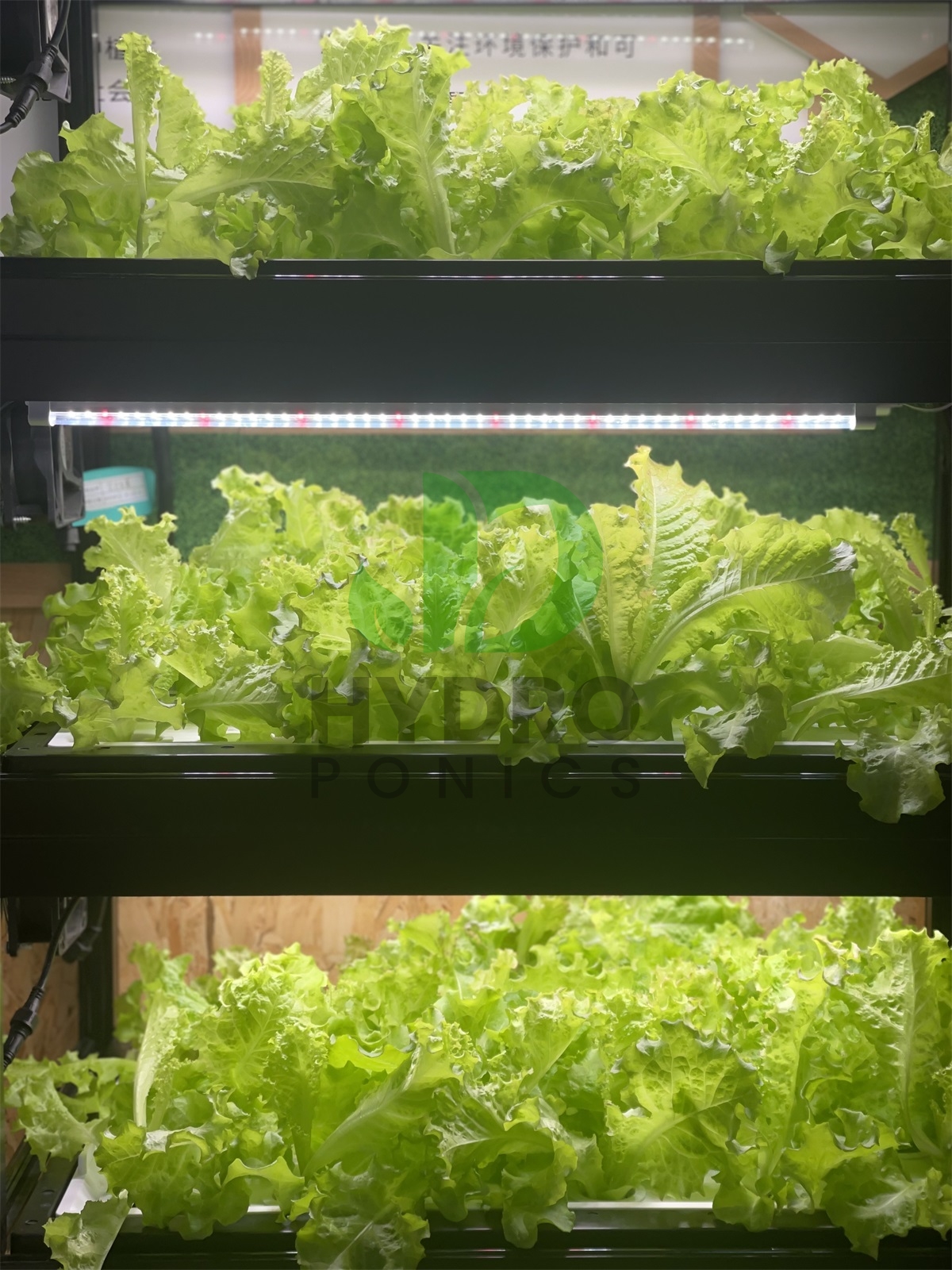 Indoor Home Smart Led Aquaponi - Aquaponics Home Kit incelemesi ve fiyatı