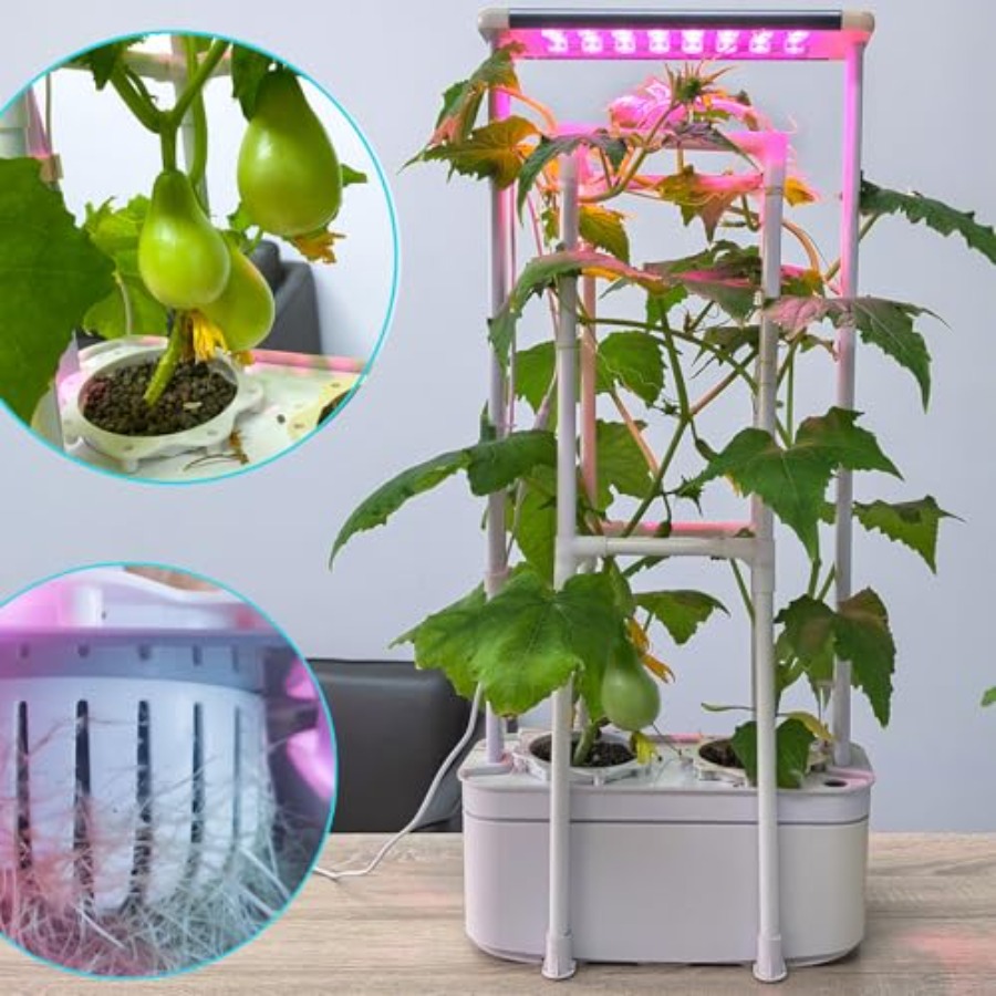 Hydroponics Growing System kit - Smart Garden Is incelemesi ve fiyatı
