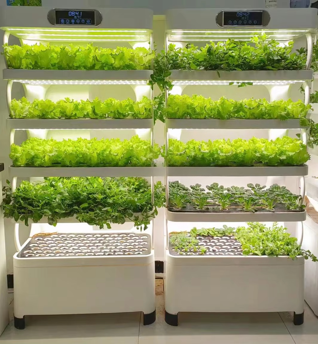 Indoor Home Smart Herb Garden  - Aquaponics Home Kit incelemesi ve fiyatı