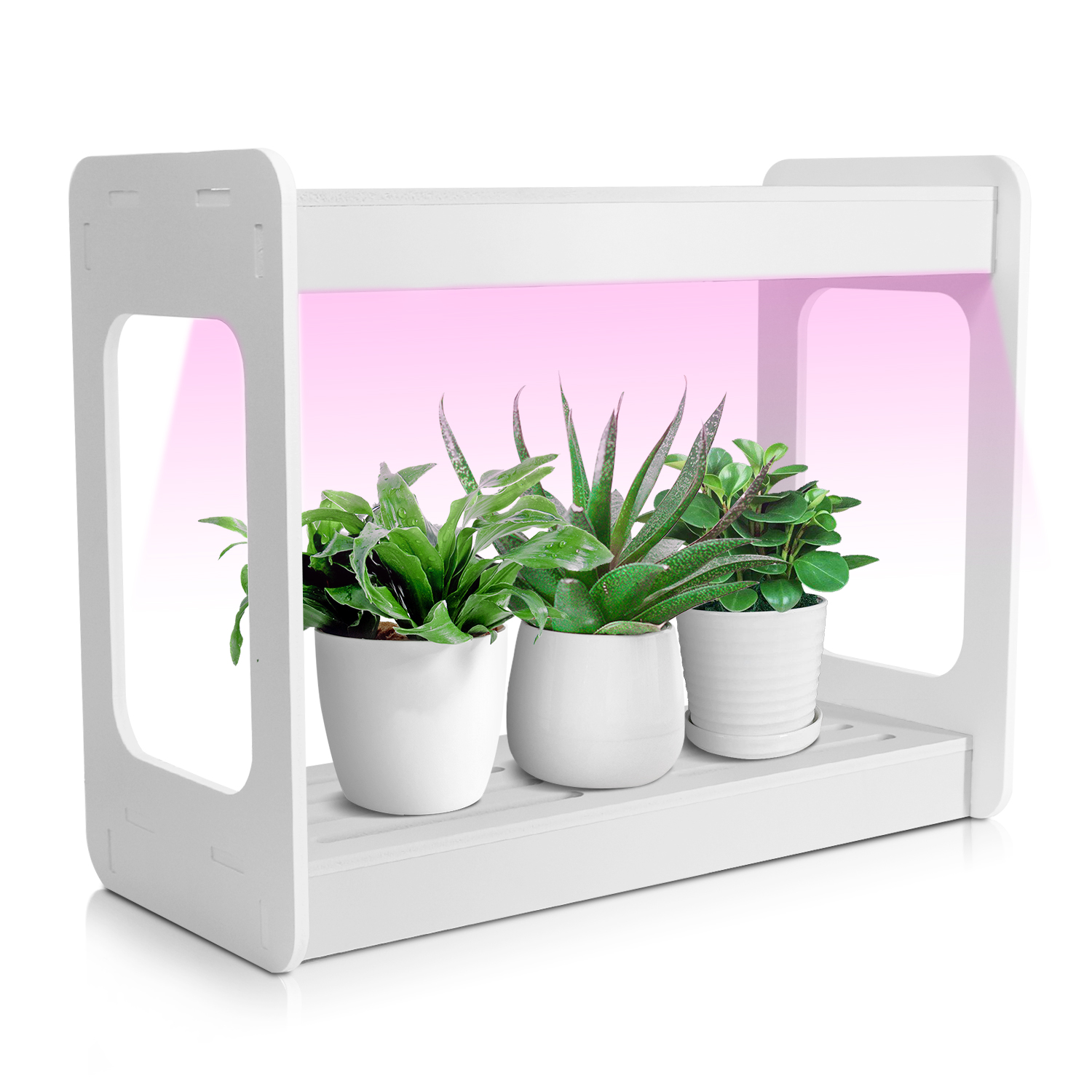 Smart Mini LED Grow Light Syst - Smart Garden Is incelemesi ve fiyatı