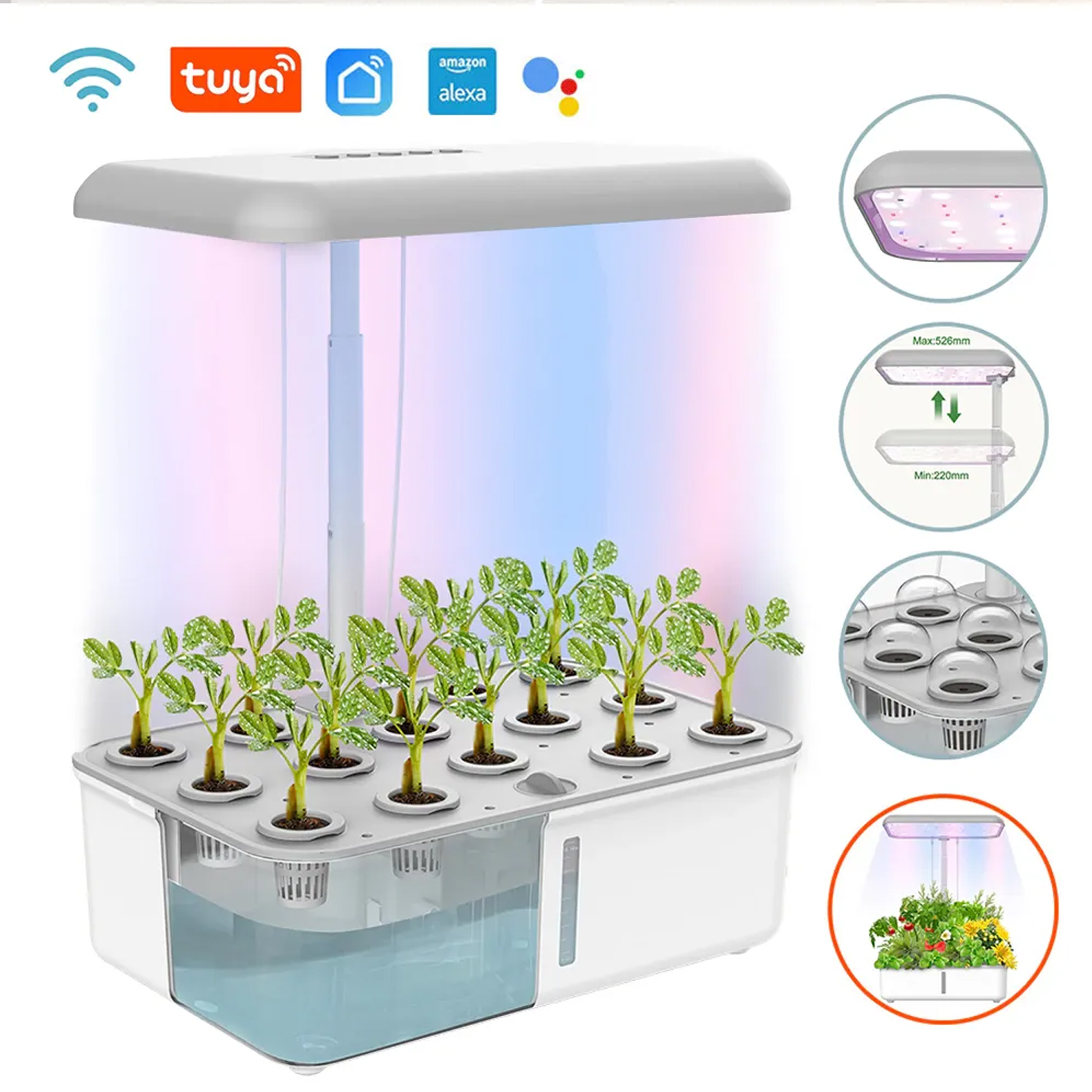 Tuya WiFi Plant Hydroponics Sy - Smart Garden Click And Grow incelemesi ve fiyatı
