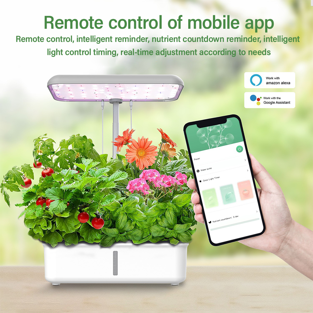 Tuya WiFi Plant Hydroponics Sy - Smart Garden Click And Grow incelemesi ve fiyatı