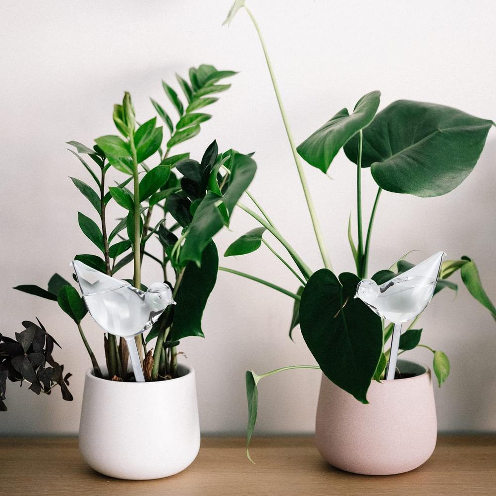 Automatic Plant Watering Bulbs - Smart Garden Sensors incelemesi ve fiyatı