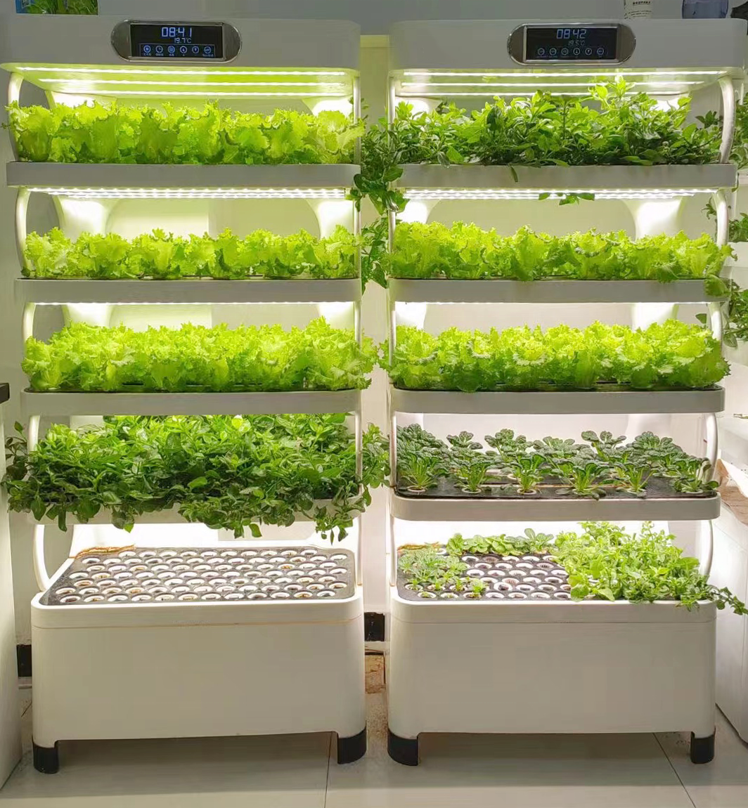 Indoor Home Smart Herb Garden  - Aquaponics Home Kit incelemesi ve fiyatı