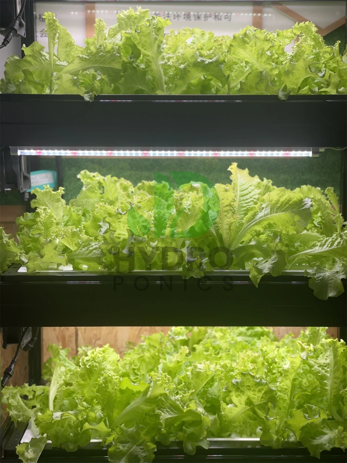 Indoor Home Smart Led Aquaponi - Aquaponics Home Kit incelemesi ve fiyatı