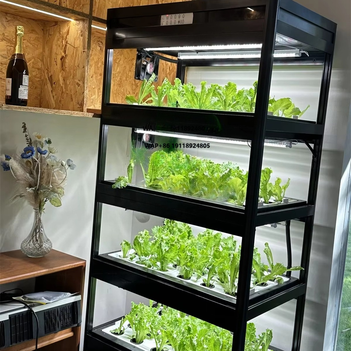 Indoor Home Smart Led Aquaponi - Aquaponics Home Kit incelemesi ve fiyatı