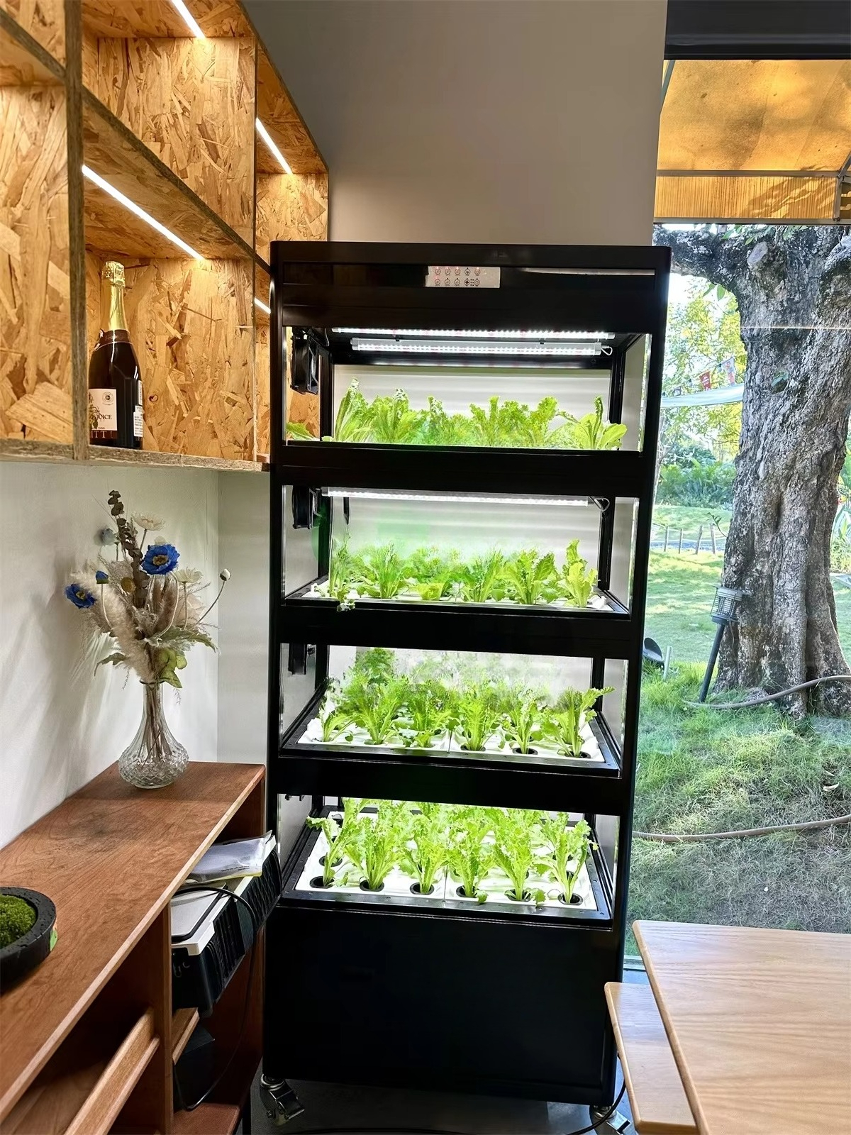 Indoor Home Smart Led Aquaponi - Aquaponics Home Kit incelemesi ve fiyatı