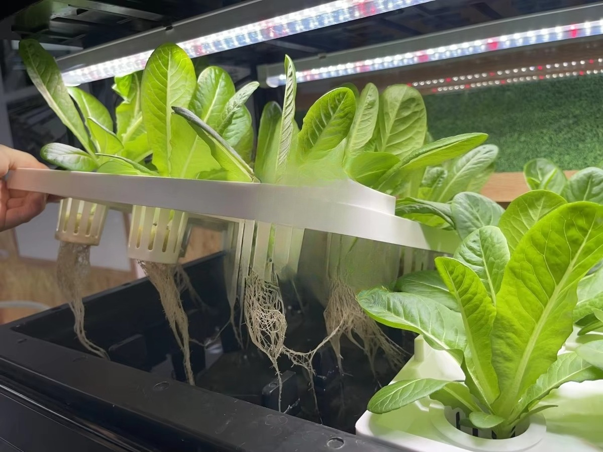 Indoor Home Smart Led Aquaponi - Aquaponics Home Kit incelemesi ve fiyatı