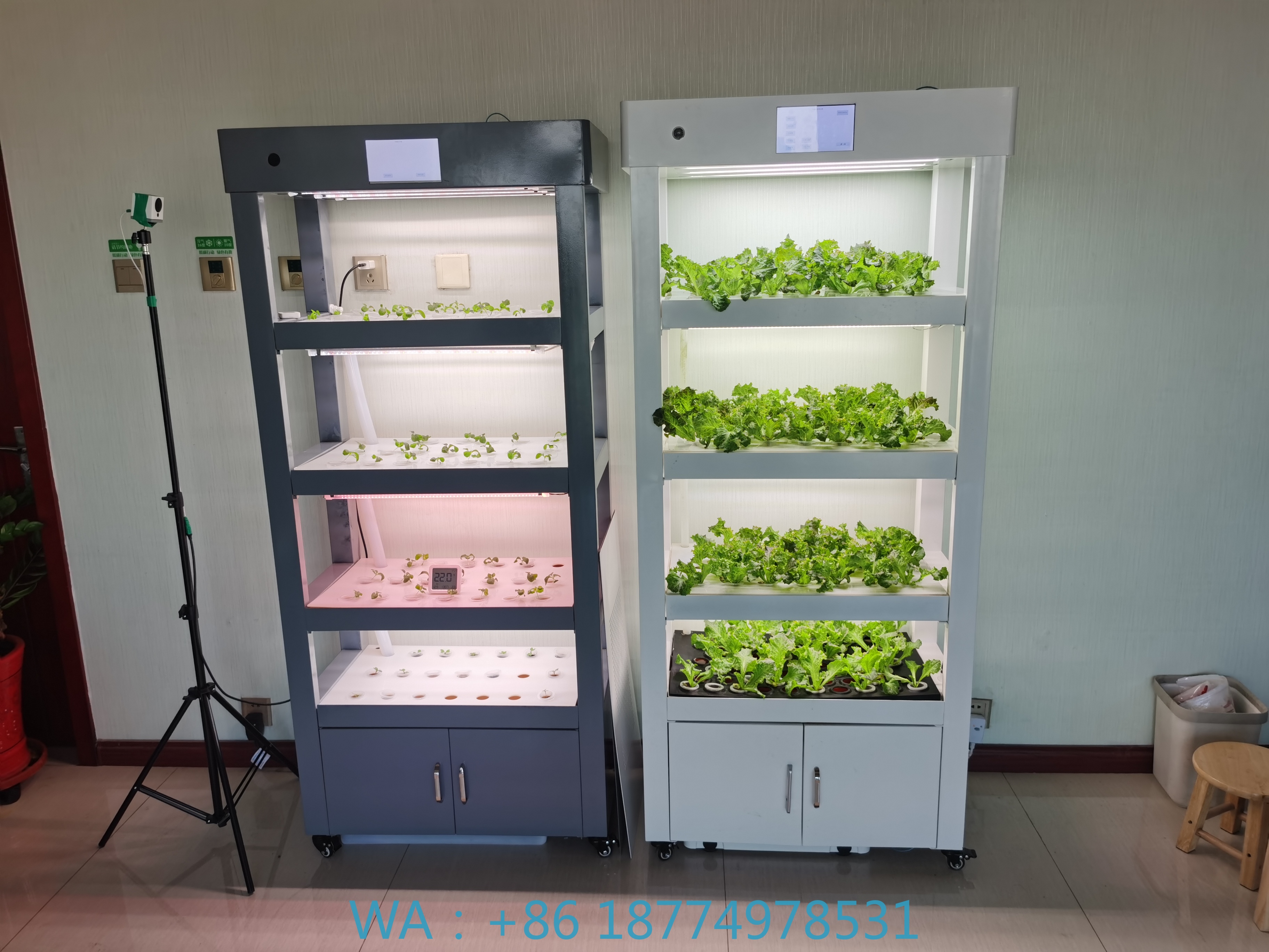 Aeroponic Vertical Hydroponic  - Aquaponics Home Kit incelemesi ve fiyatı