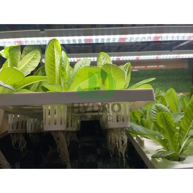 108 Holes Hydroponic Cabinet G - Aquaponics Home Kit incelemesi ve fiyatı