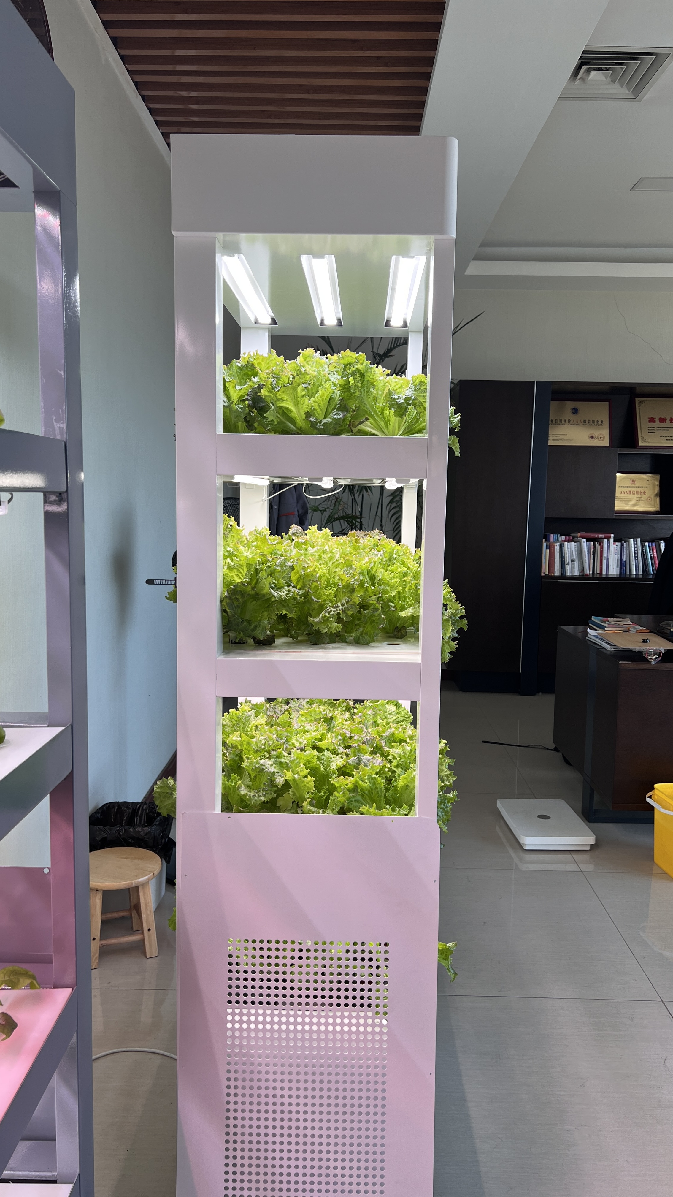 Indoor Home Smart Garden Intel - Aquaponics Home Kit incelemesi ve fiyatı