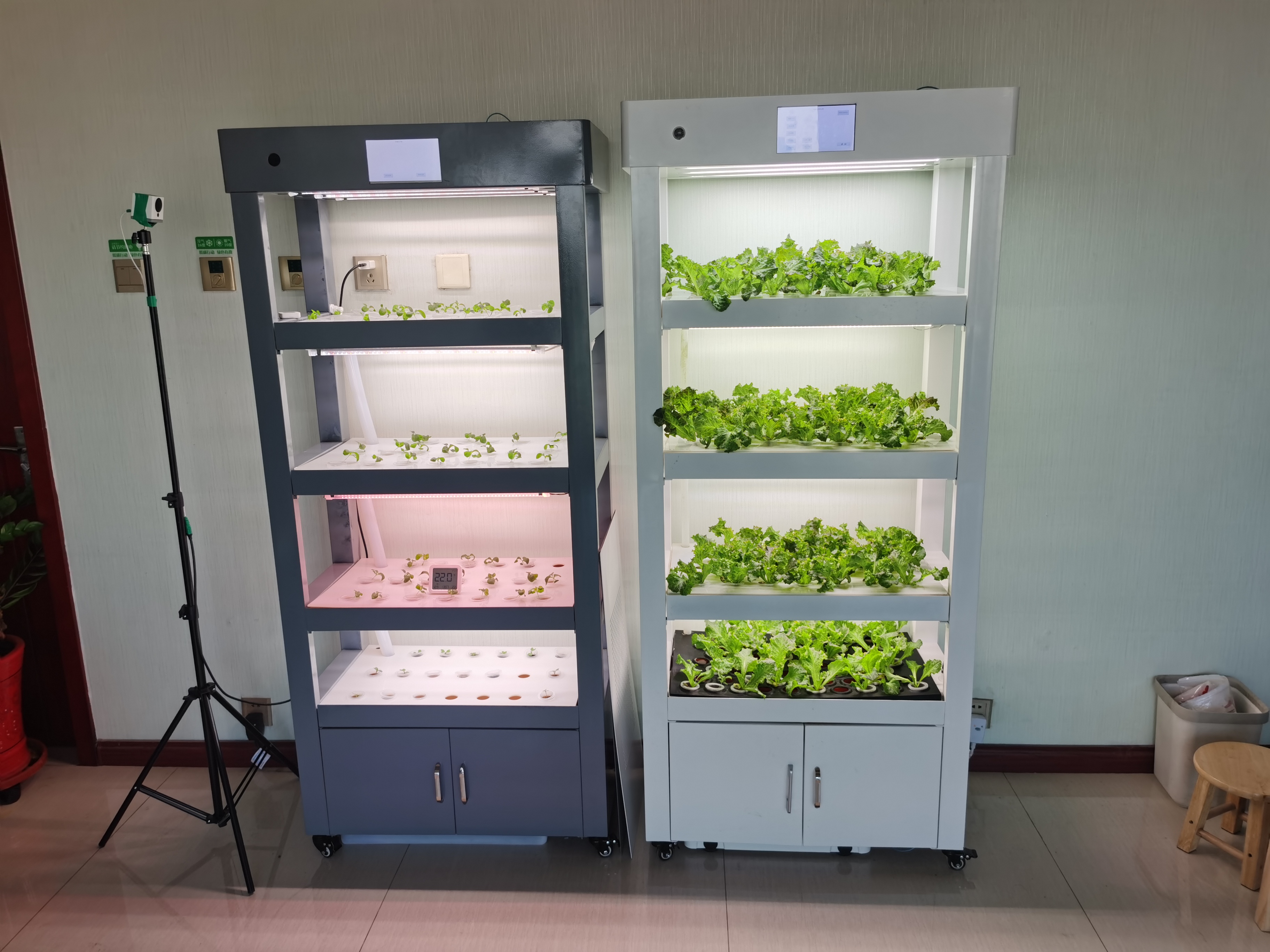 Indoor Home Smart Garden Intel - Aquaponics Home Kit incelemesi ve fiyatı