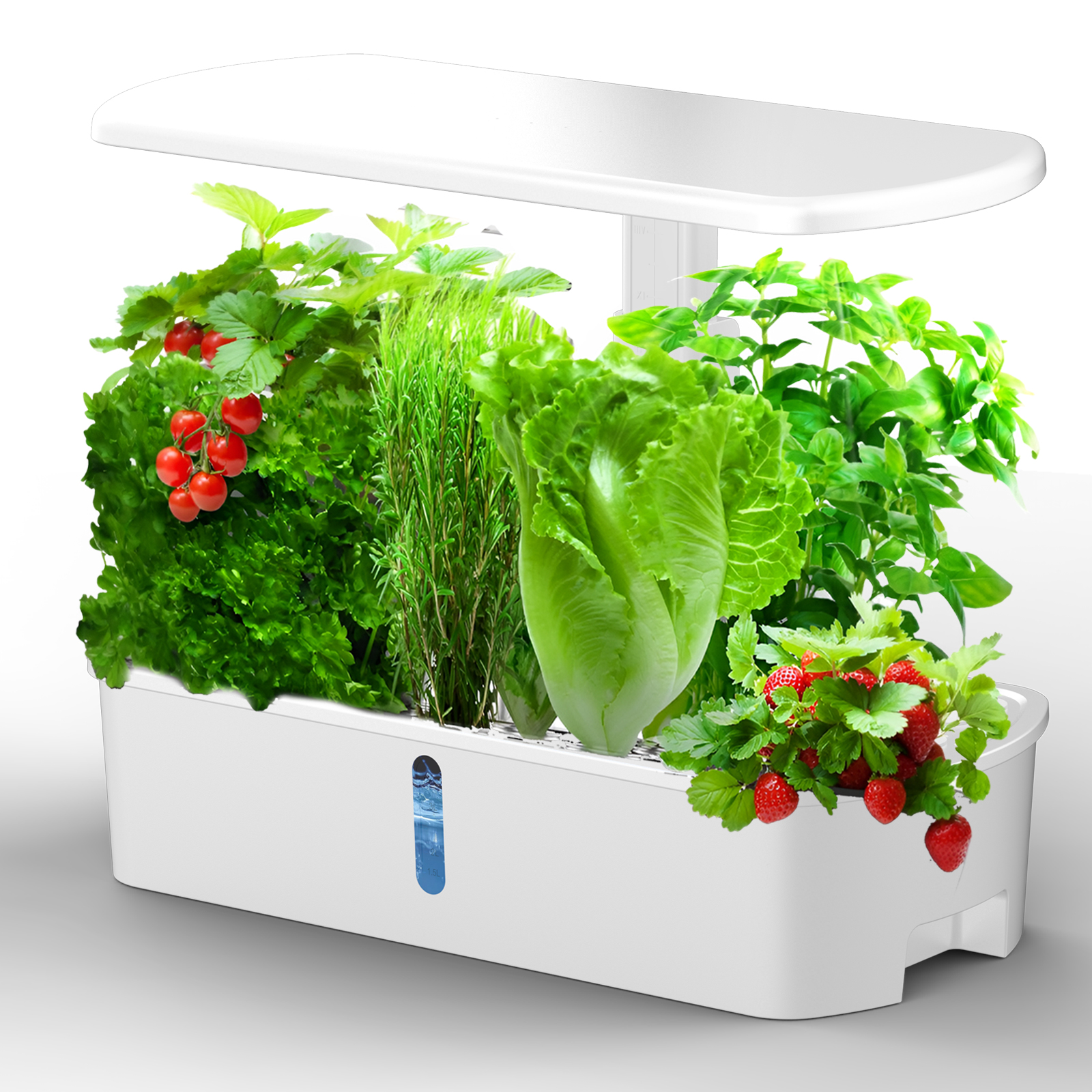 IGS-61 Smart Garden System Ind - Smart Garden Igs 61 incelemesi ve fiyatı