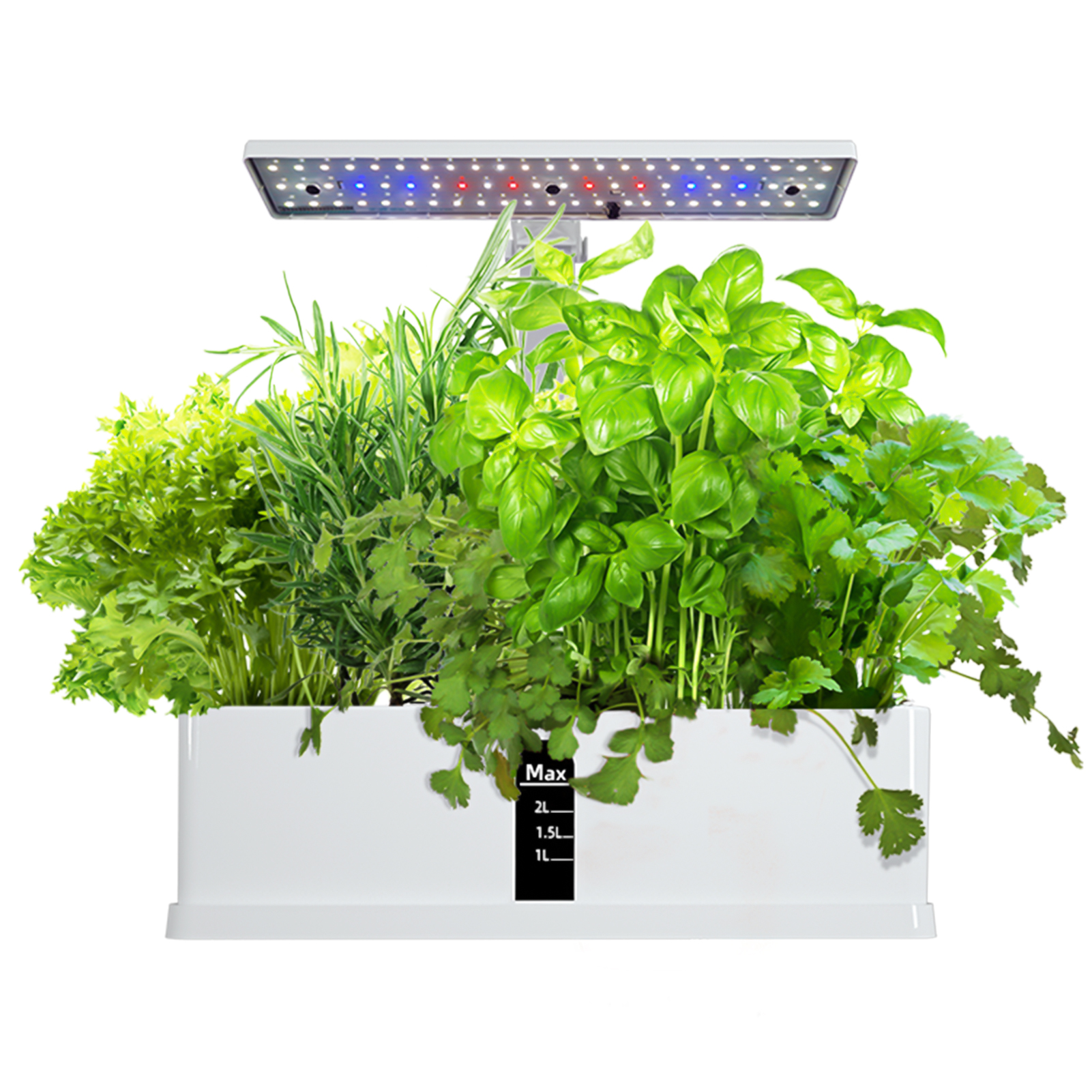 Smart Hydroponics Growing Syst - Smart Garden Click And Grow incelemesi ve fiyatı