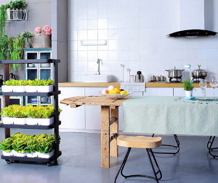 Indoor Home Smart Herb Garden  - Aquaponics Home Kit incelemesi ve fiyatı
