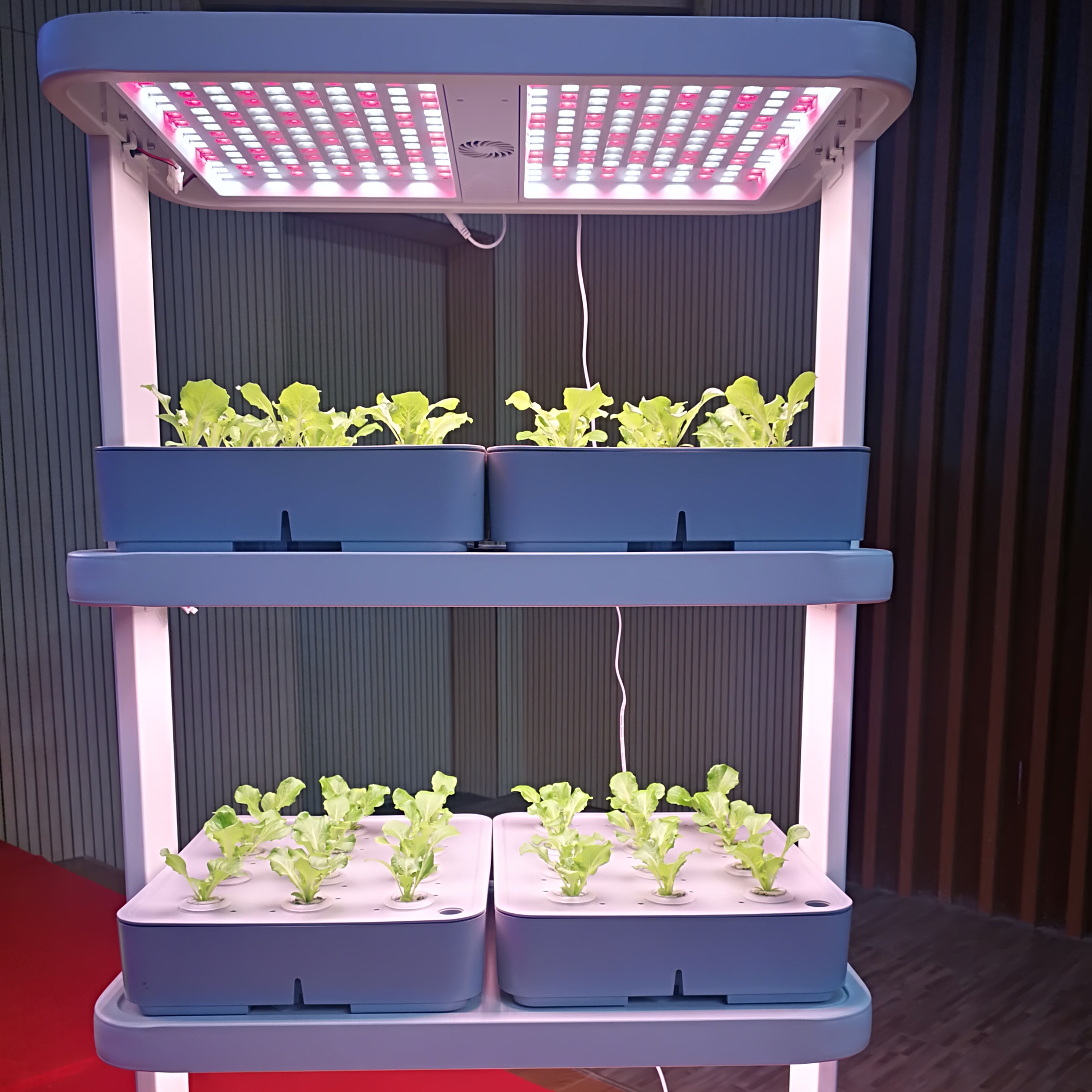 Indoor Home Smart Herb Garden  - Aquaponics Home Kit incelemesi ve fiyatı