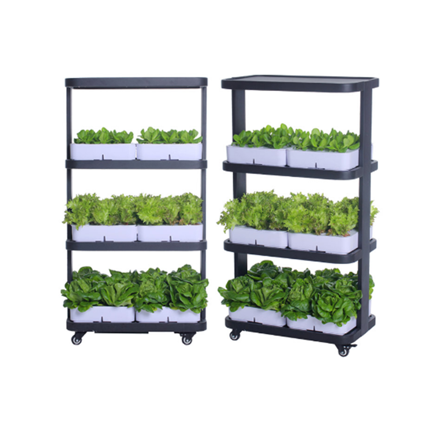 Indoor Home Smart Herb Garden  - Aquaponics Home Kit incelemesi ve fiyatı