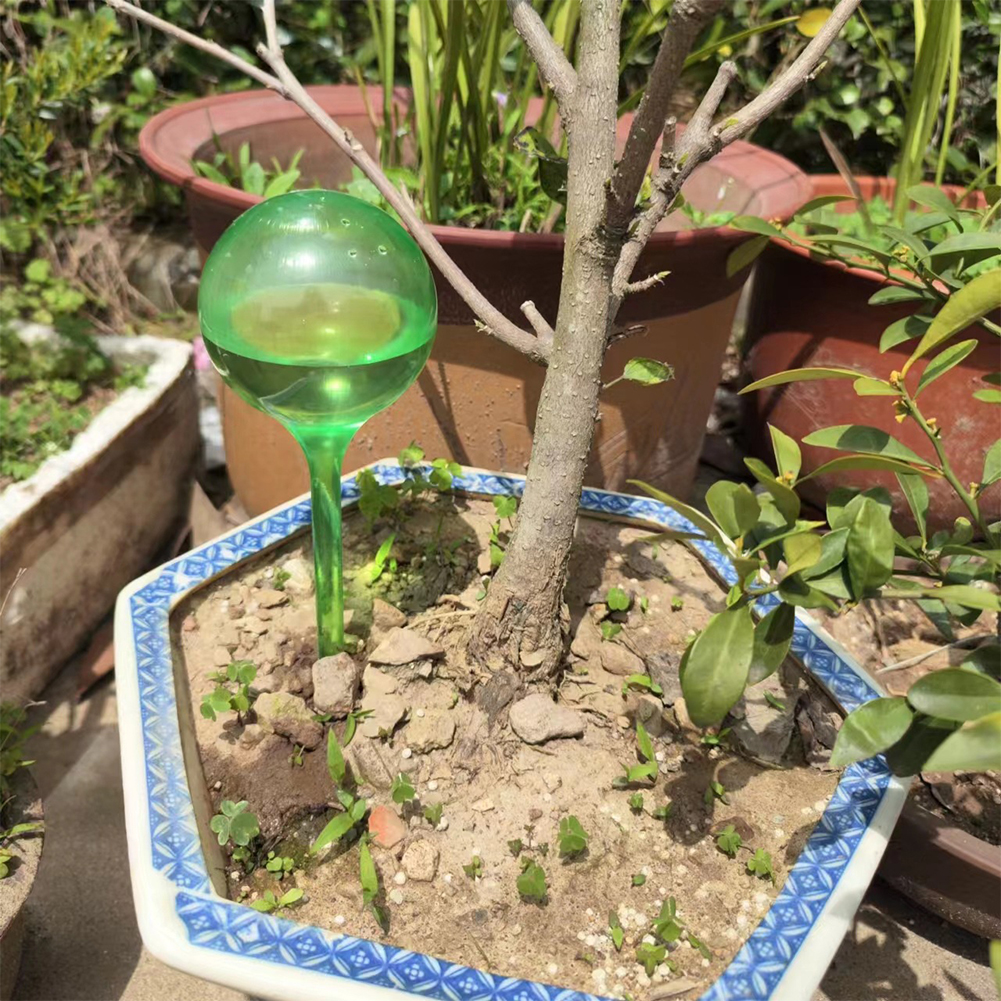 Automatic Plant Watering Bulbs - Smart Garden Technology incelemesi ve fiyatı