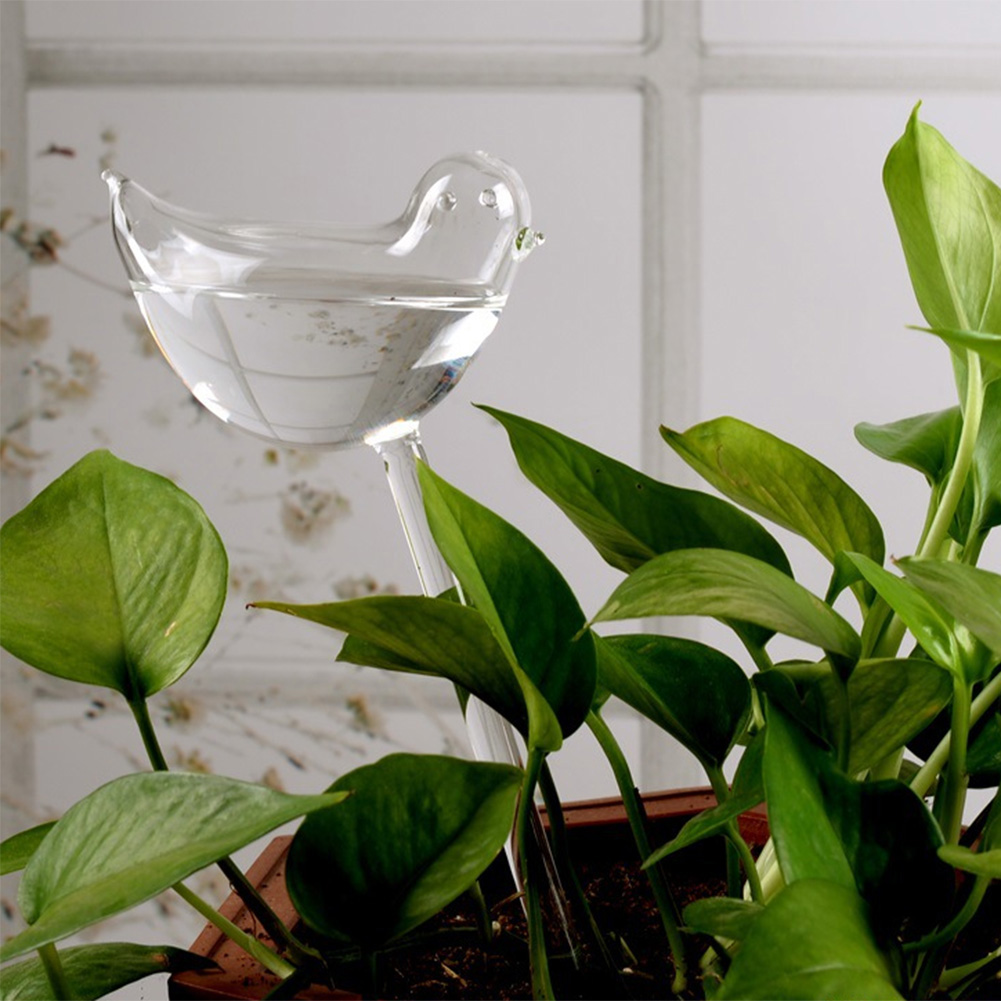 Automatic Plant Watering Bulbs - Smart Garden Technology incelemesi ve fiyatı