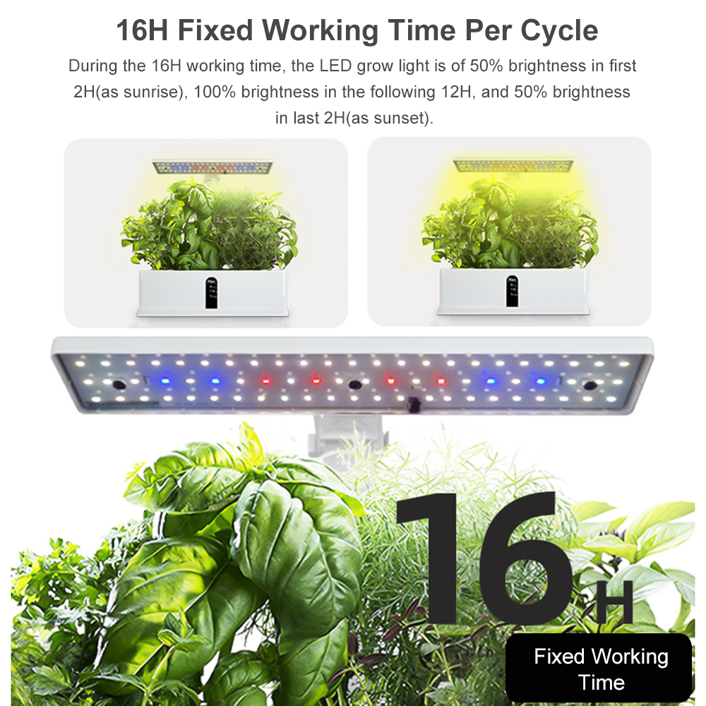 Smart Hydroponics Growing Syst - Smart Garden Click And Grow incelemesi ve fiyatı