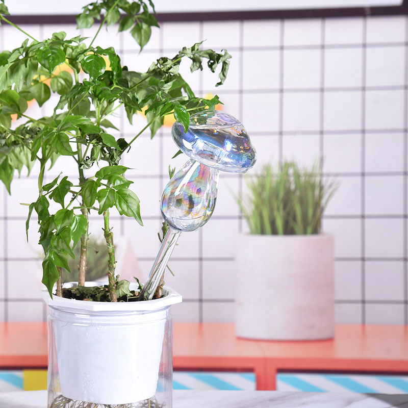 1/2PCS Glass Straw Automatic P - Smart Garden Technology incelemesi ve fiyatı