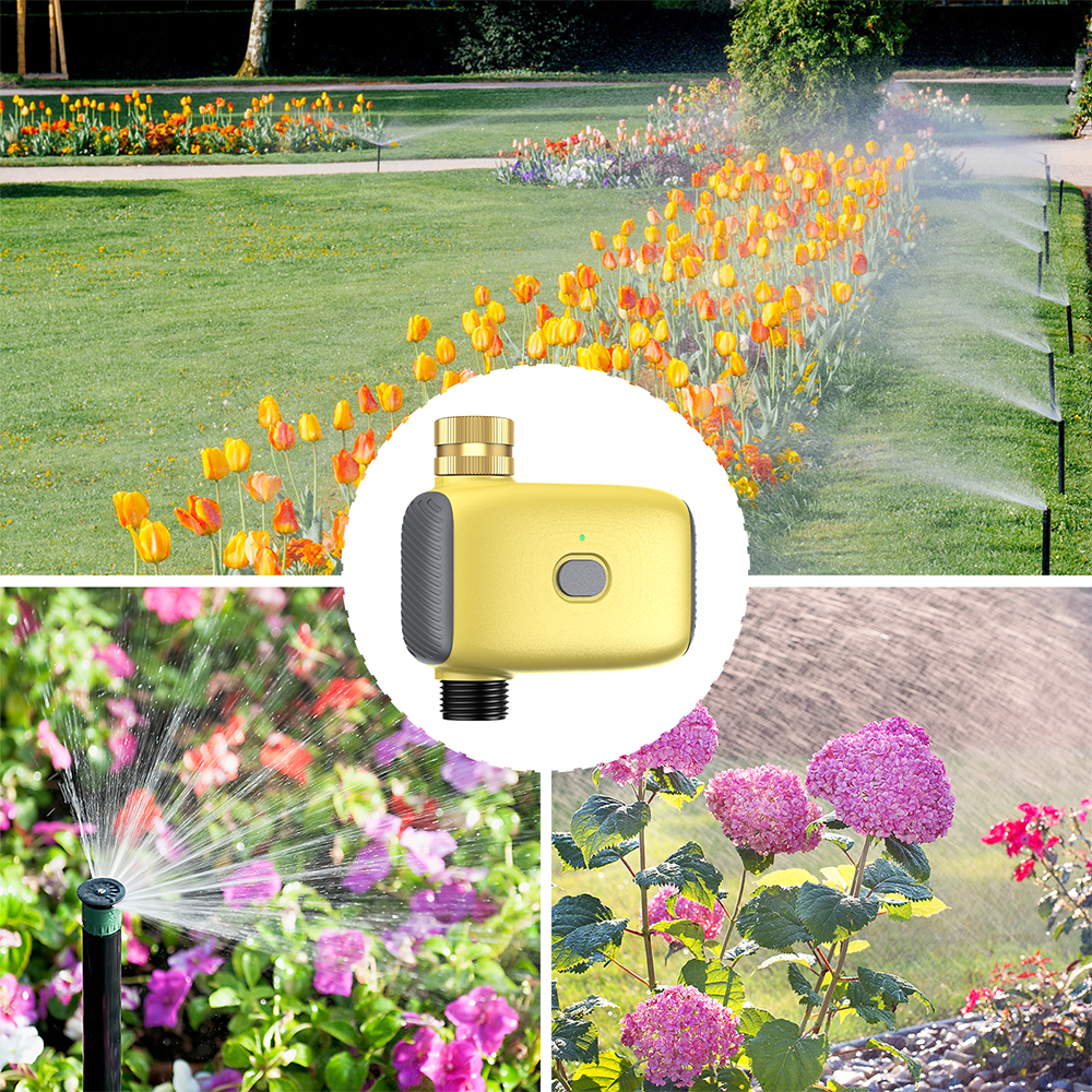 Wholesale Smart Digital  Water - Smart Garden Is incelemesi ve fiyatı