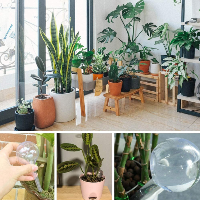 5/10PCS Automatic Plant Wateri - Smart Garden Technology incelemesi ve fiyatı